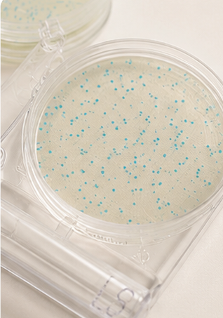 Microbiology Testing