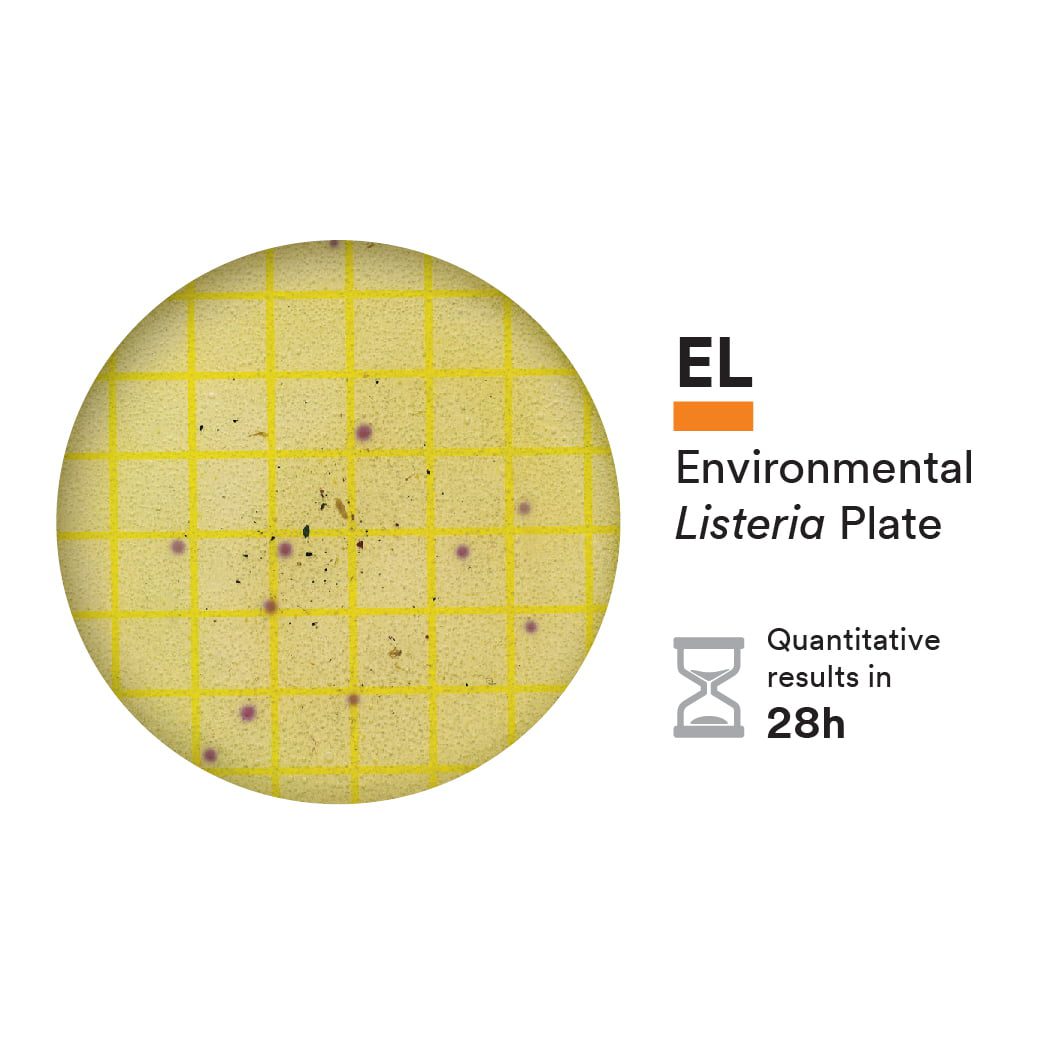 Neogen (3M) Petrifilm Environmental Listeria Plates image 0