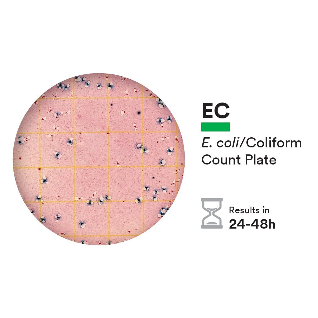 Neogen (3M)  Petrifilm E.coli / Coliform Count Plates image 0