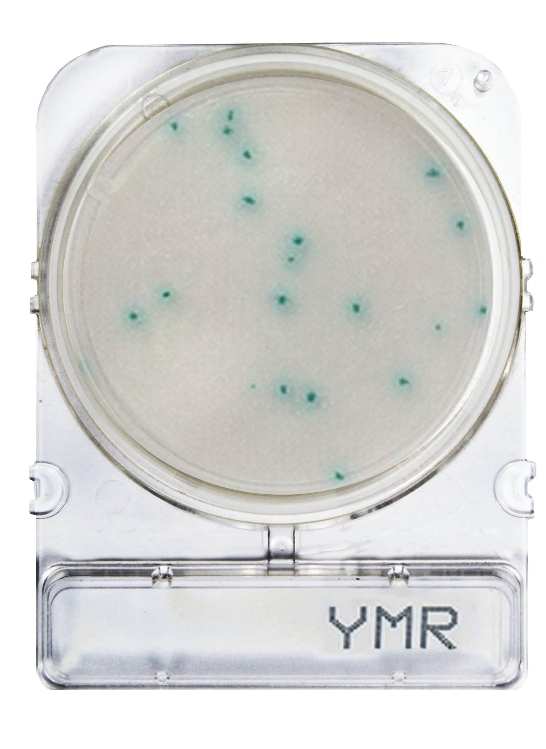 Compact Dry YMR Plates image 0