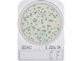 Compact Dry CF Plates image 0
