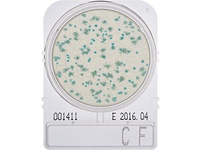 Compact Dry CF Plates image 0