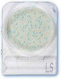 Compact Dry LS Plates image 0