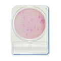 Compact Dry ETB Plates image 0