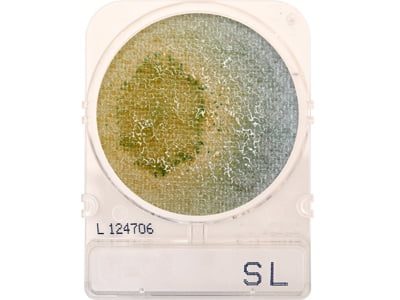 Compact Dry SL Plates image 0