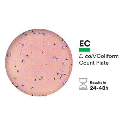 E.Coli-Coliform_plate_with_incubation_time