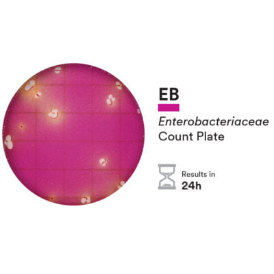 The Neogen Petrifilm Enterobacteriaceae Count Plate provides a rapid 24 hour next day result.
